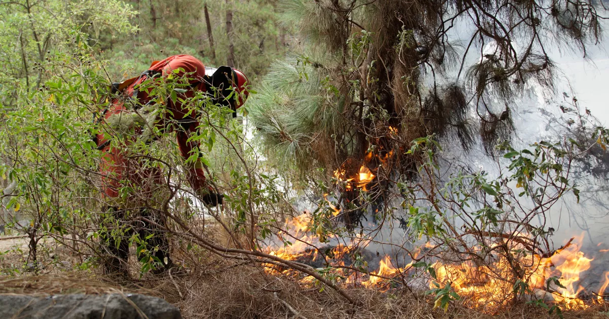 Efectivos de la UME en labores de extinción del incendio forestal que afecta a la isla de Tenerife / EFE - UME