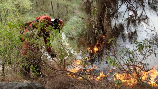 Efectivos de la UME en labores de extinción del incendio forestal que afecta a la isla de Tenerife / EFE - UME