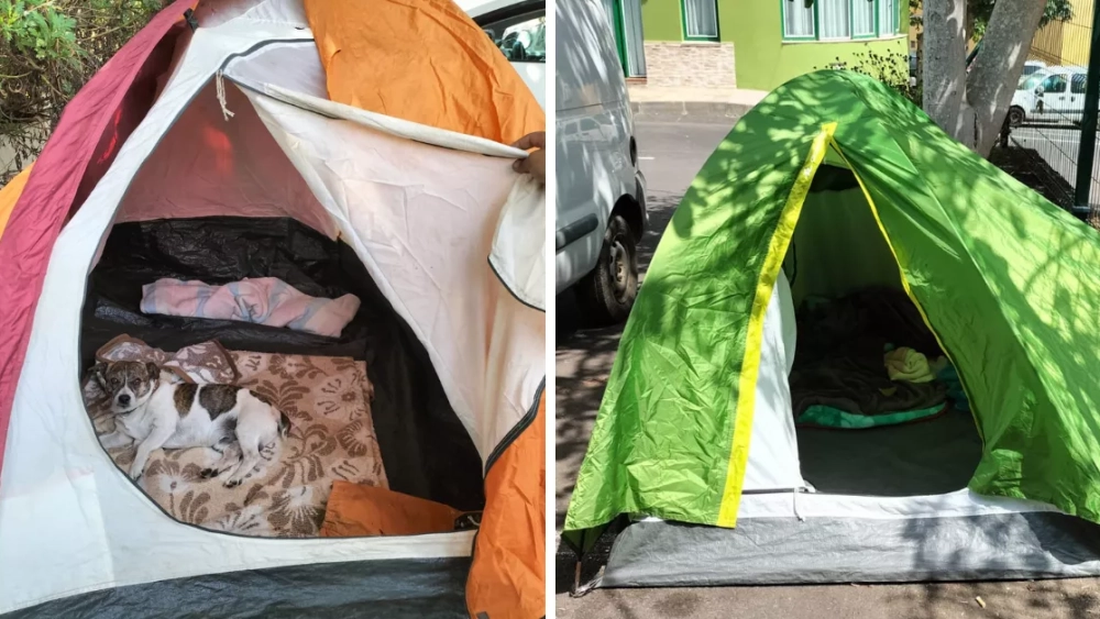Casetas de campaña de los evacuados de Barranco de las Lajas (Tacoronte) en el aparcamiento del restaurante El Bosque./ ÁLVARO OLIVER - AH Casetas de campaña de los evacuados de Barranco de las Lajas (Tacoronte) en el aparcamiento del restaurante El Bosque./ ÁLVARO OLIVER - AH