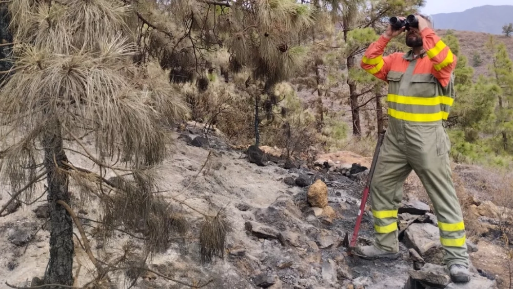 Un miembro del Grupo de Pronto Auxilio de Arafo otea el horizonte para descubrir nuevos conatos./ CEDIDA