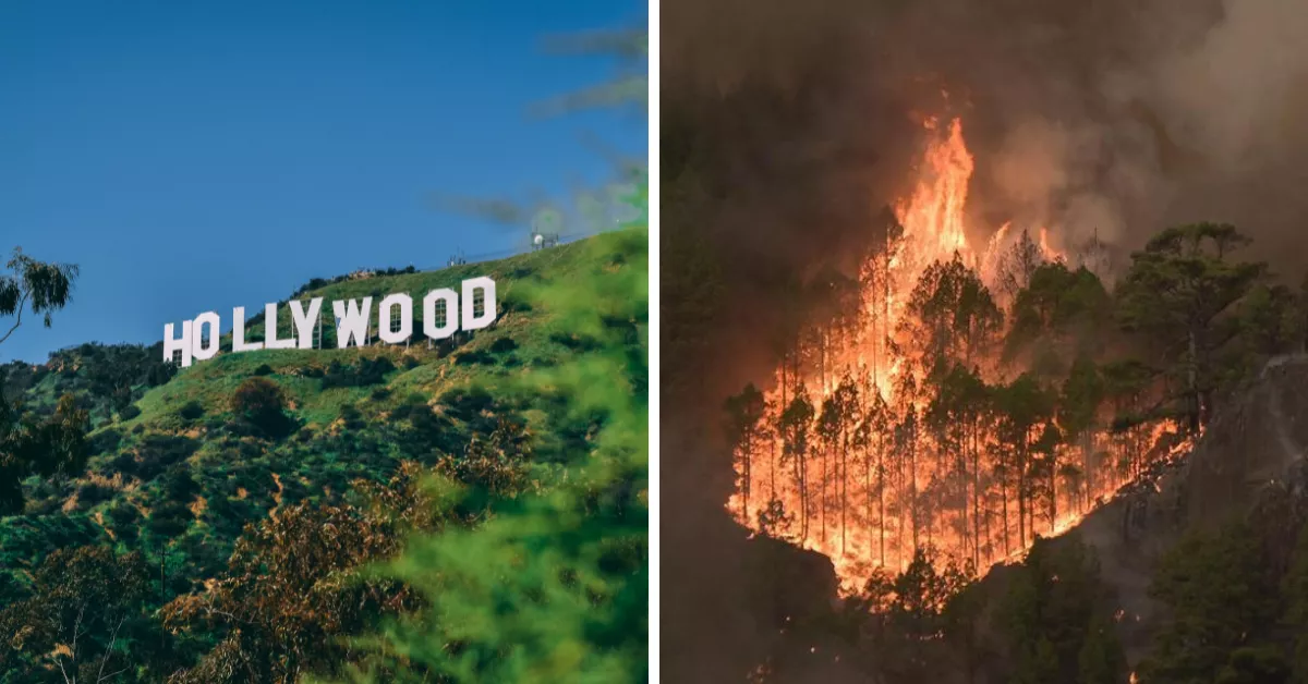 Cartel de Hollywood y una imagen del incendio forestal de Tenerife./ MONTAJE AH