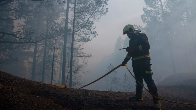 Un bombero trabaja en el incendio de Tenerife / EFE - RAMÓN DE LA ROCHA