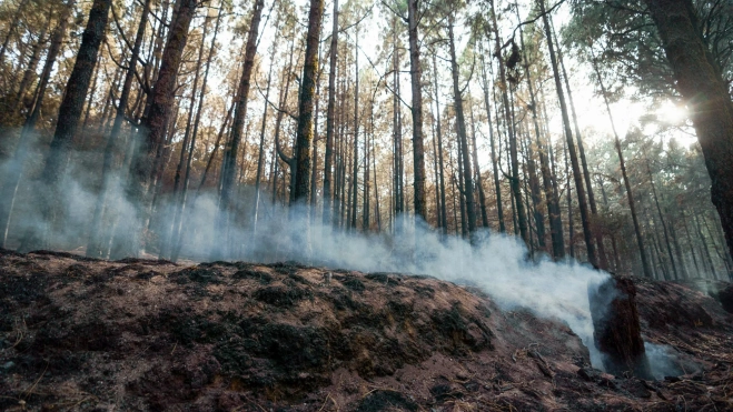 Incendio de Tenerife / EFE - RAMÓN DE LA ROCHA