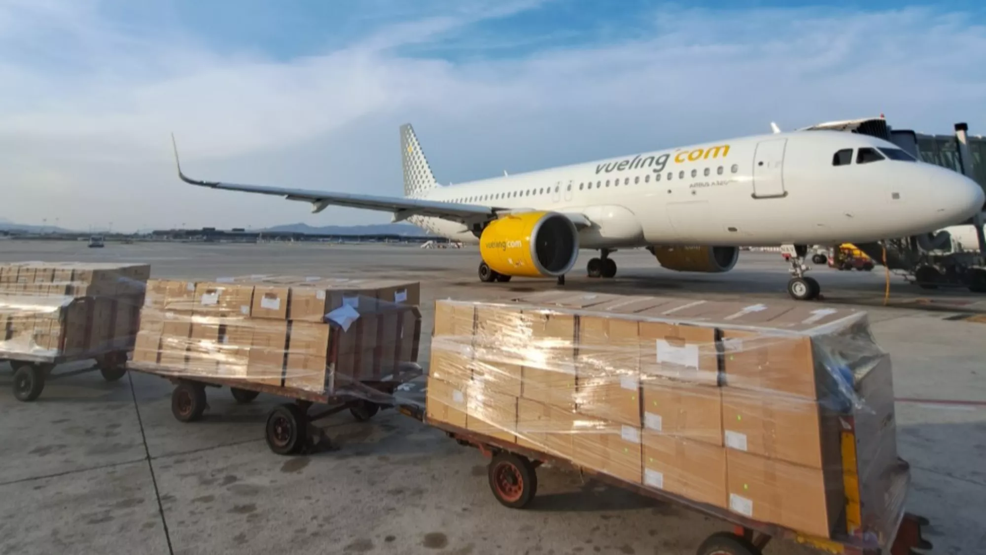 Cargamento solidario que viajará en Vueling / VUELING