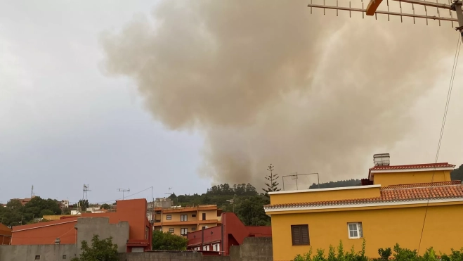 El incendio de Tenerife desde Agua García (Tacoronte) / ATLÁNTICO HOY - IRENE CARTAYA