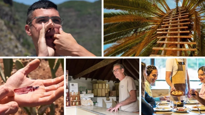 Imagen de silbador profesional, guarapero, recolector de cochinilla, molinero y guachinchero / MONTAJE AH 