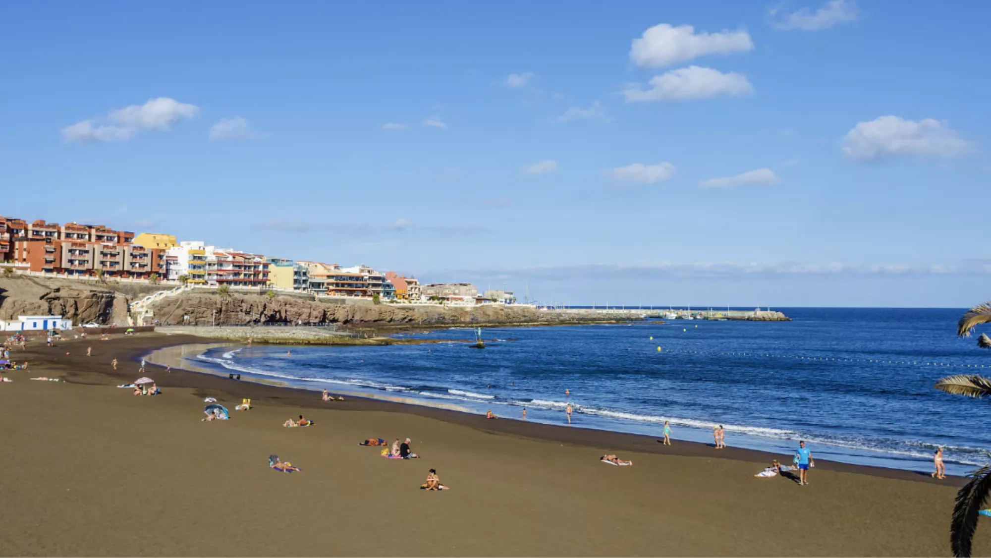 Telde prohíbe el baño en una de sus playas por la presencia de dragones azules en la orilla