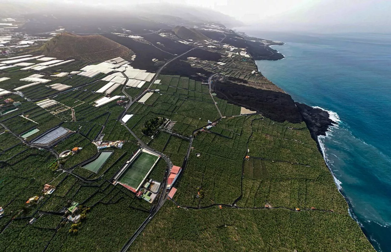 Fincas de plátano en La Palma / CEDIDA