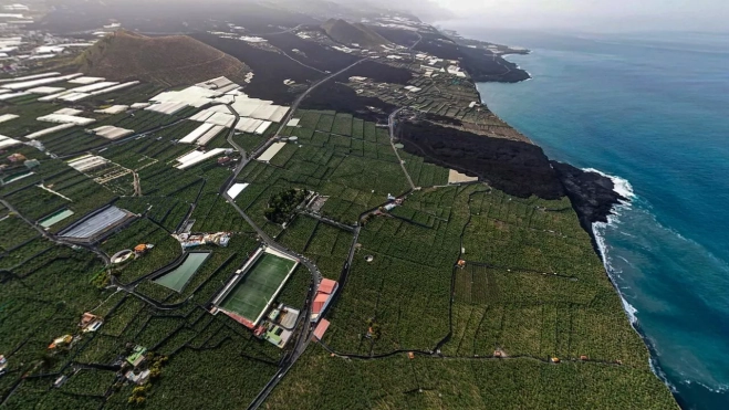 Fincas de plátano en La Palma / CEDIDA