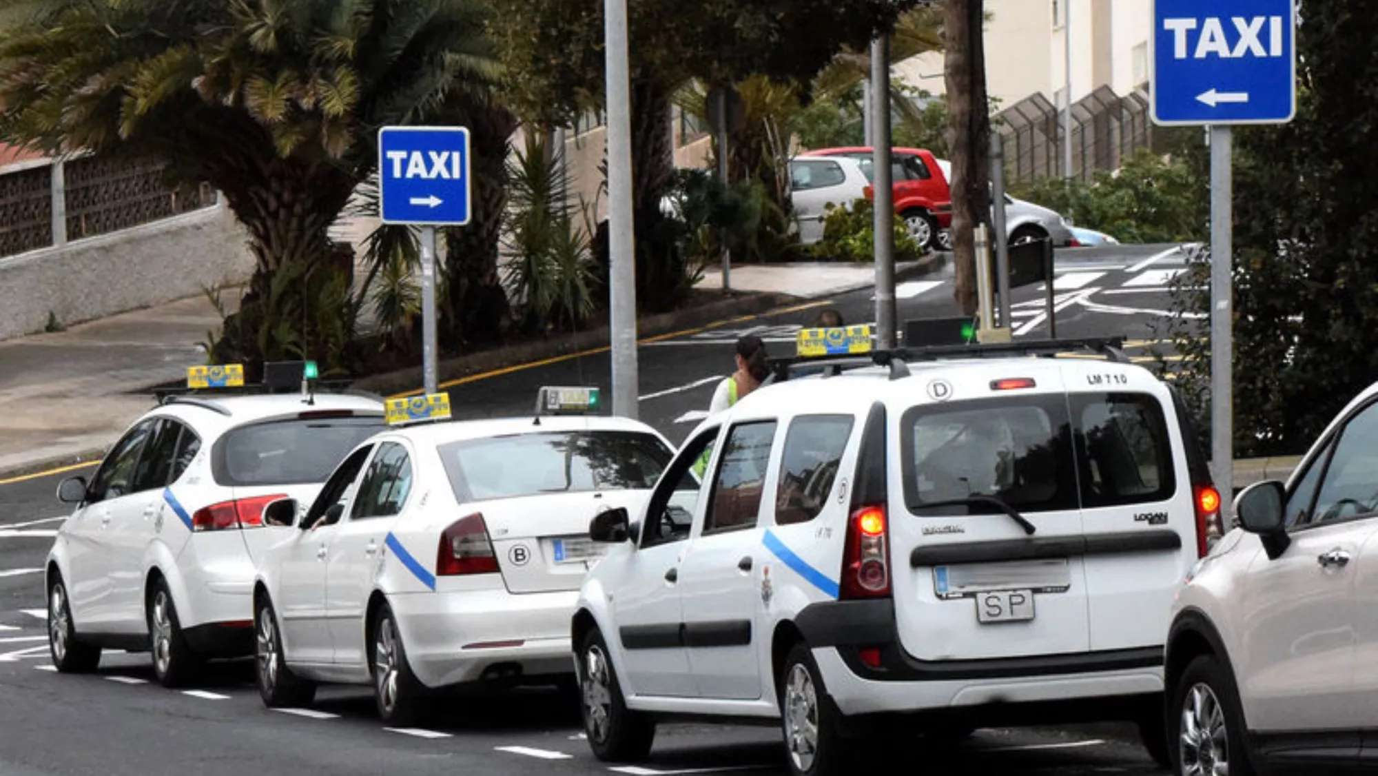 Taxis en Santa Cruz de Tenerife / AYUNTAMIENTO DE SANTA CRUZ DE TENERIFE Taxis en Santa Cruz de Tenerife / AYUNTAMIENTO DE SANTA CRUZ DE TENERIFE