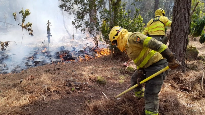 Un equipo Brifor trabaja en el incendio de Tenerife / CEDIDA