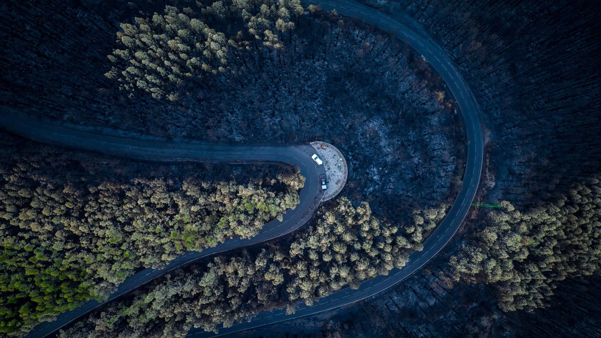 Zona afectada por el incendio de Tenerife / CEDIDA