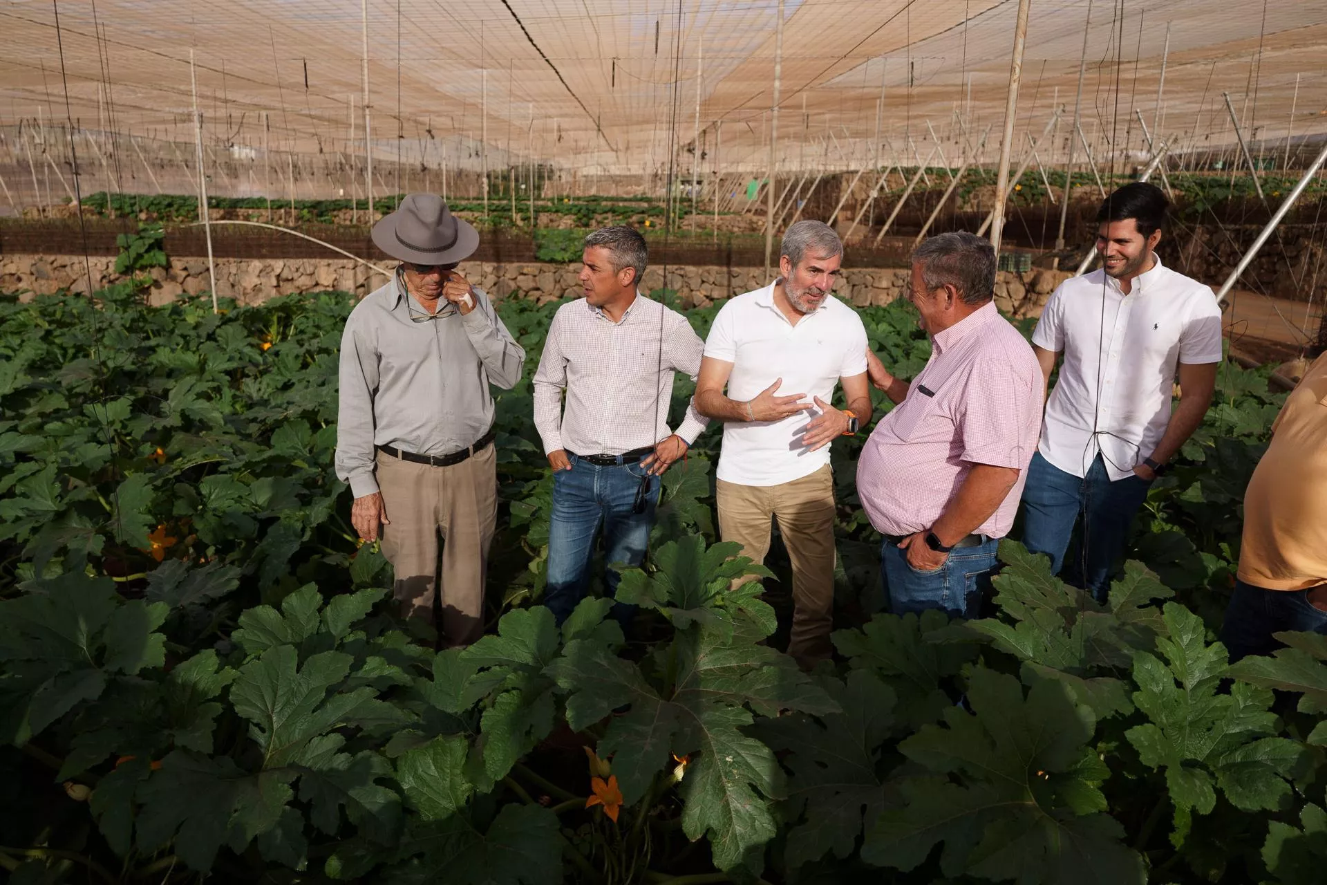 Fernando Clavijo (c), Rafael Hernández (2d), Narvay Quintero (2i) y Roberto Rodríguez (i). / EFE - Ramón de la Rocha