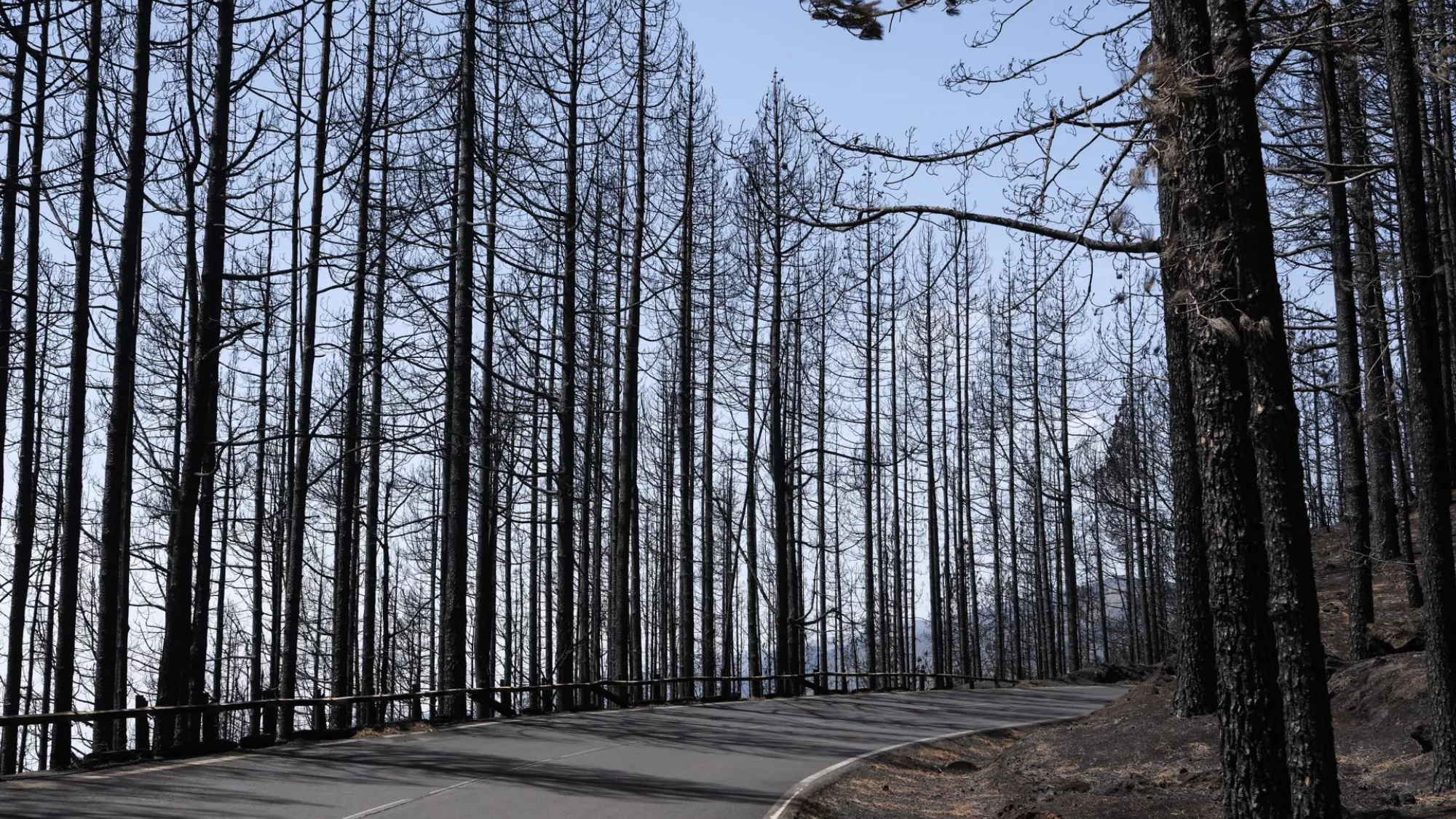 Se mantiene cerradas para facilitar las tareas de extinción / EFE