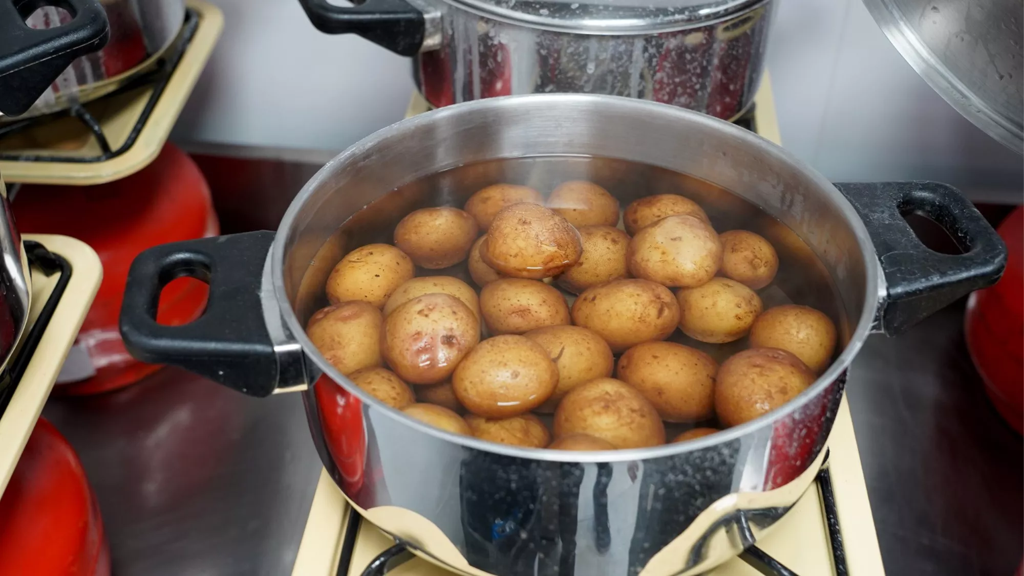 Papas arrugadas / CABILDO DE GRAN CANARIA Papas arrugadas / CABILDO DE GRAN CANARIA