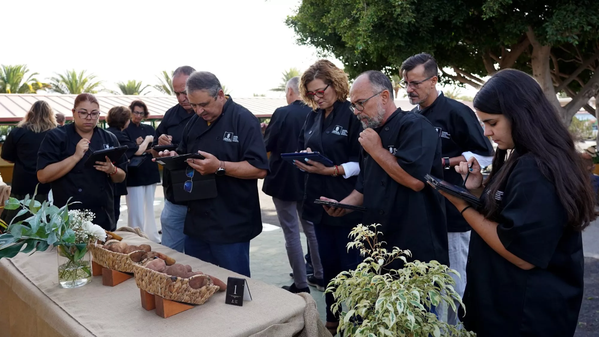 XIV Cata Insular de Papa de Gran Canaria / CABILDO DE GRAN CANARIA