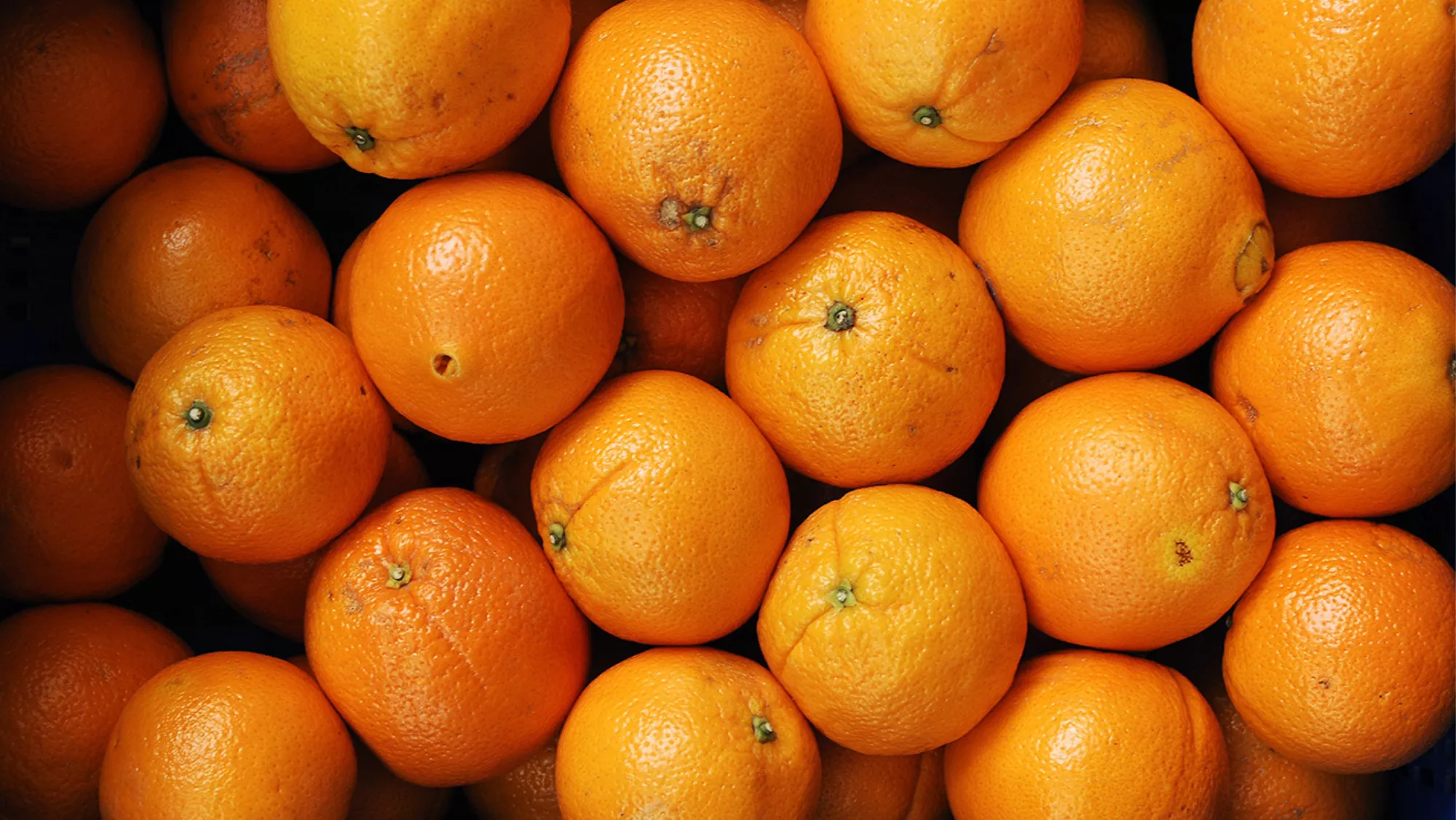 Imagen de varias naranjas / EFE