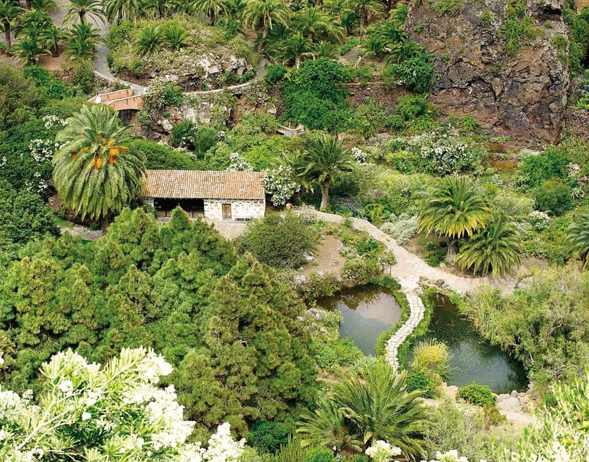 Jardín botánico Viera y Clavijo en Gran Canaria. / TURISMO DE CANARIAS