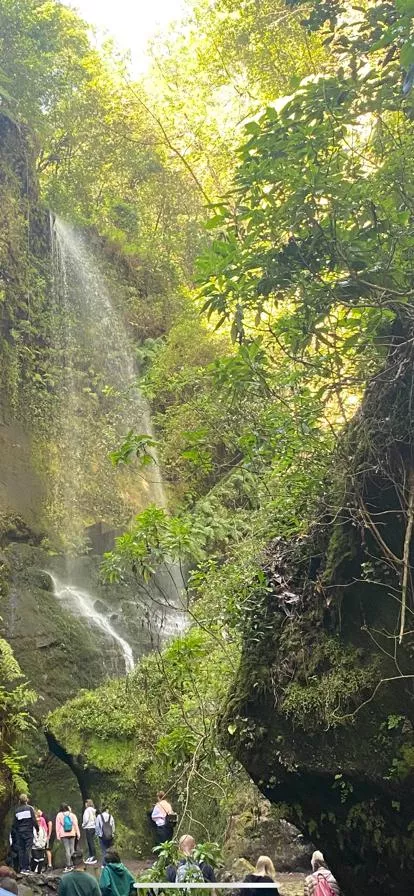 Cascada de Los Tilos en La Palma. / ATLÁNTICO HOY