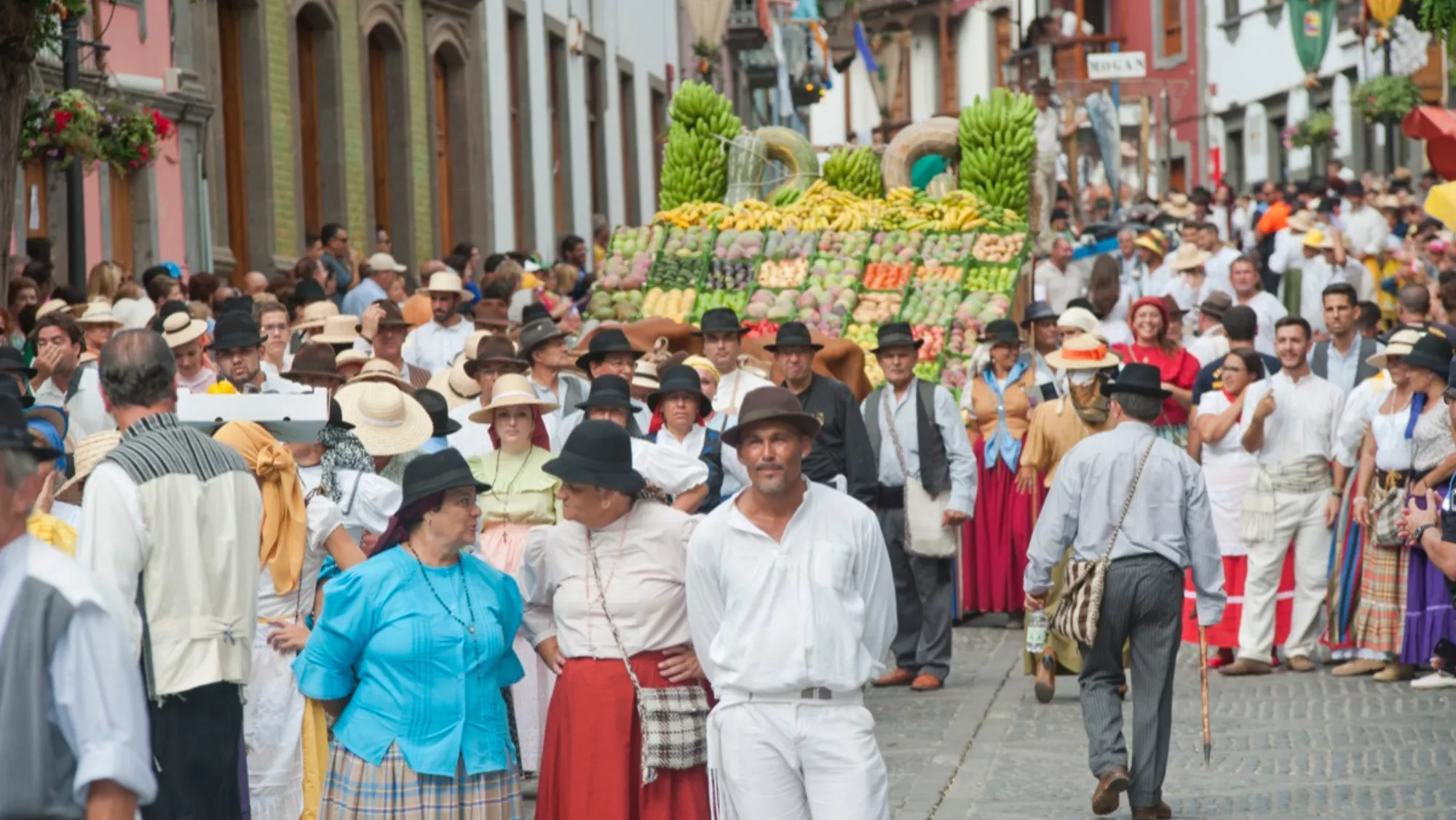Imagen de la Romería Ofrenda a la Virgen del Pino / CABILDO DE GRAN CANARIA