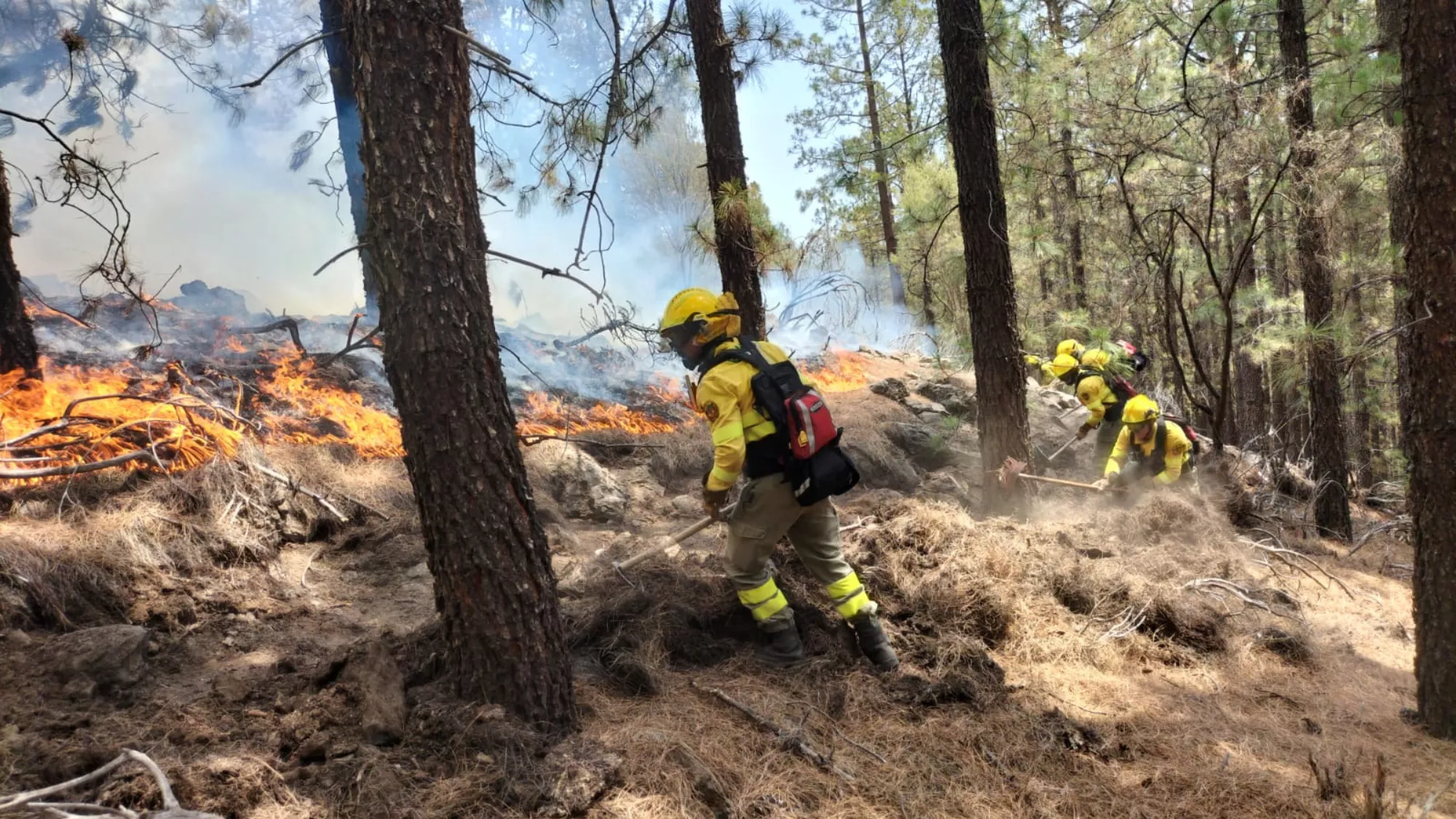 Profesionales del Cabildo de Tenerife en las labores de extinción del incendio. / CEDIDA Profesionales del Cabildo de Tenerife en las labores de extinción del incendio. / CEDIDA