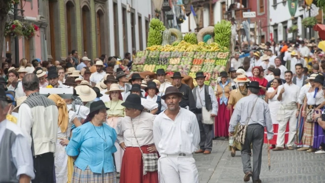 Una imagen de la Romería Ofrenda del Pino (3)