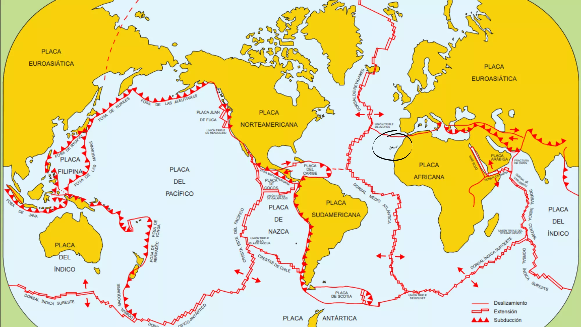 Mapa de las placas tectónicas, Canarias se ubica en la Africana / INSTITUTO GEOGRÁFICO NACIONAL