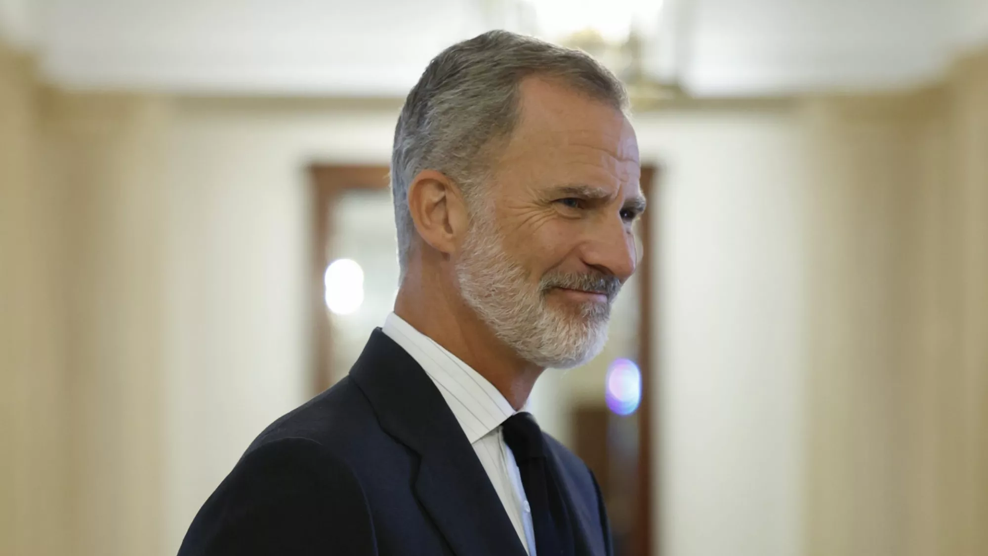 El rey Felipe VI / EFE