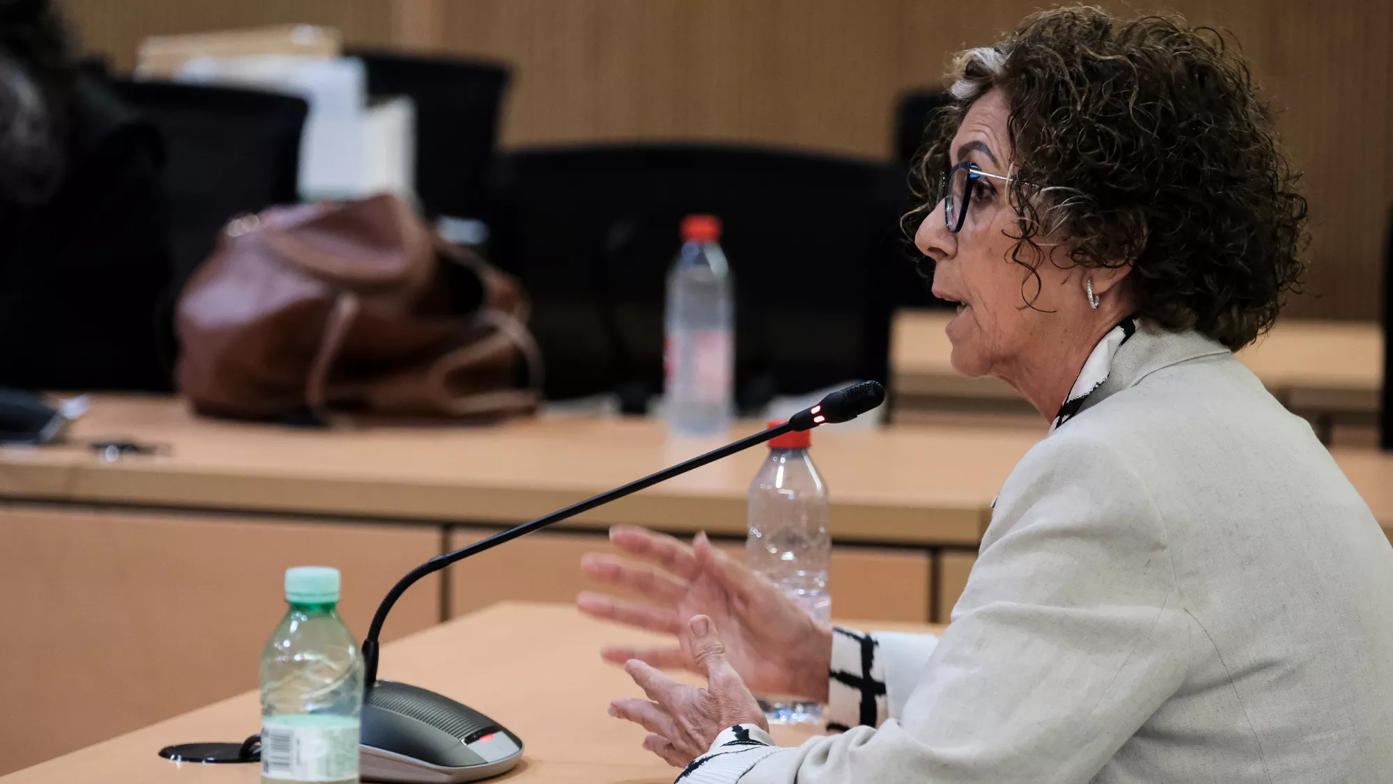 María Isabel Déniz durante el juicio / EFE - ÁNGEL MEDINA G.