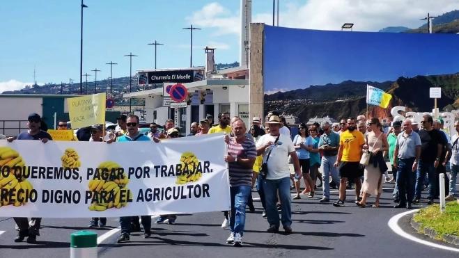 Momentos de la manifestación en La Palma. / CEDIDA