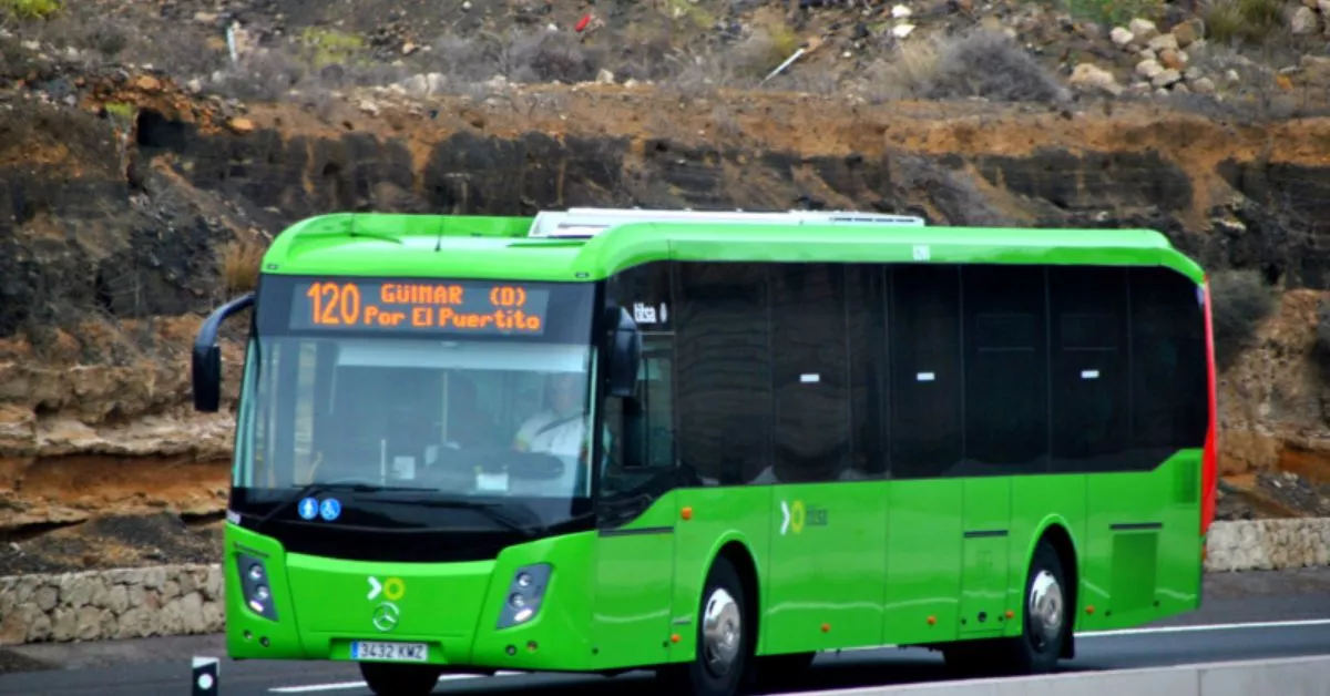 Línea de guagua de Titsa número 120 / CHINEITA19