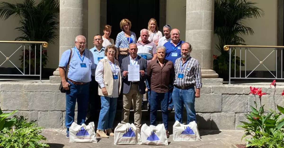 La comisión promotora de la Iniciativa Legislativa Popular para aprobar la Ley de Volcanes en el Parlamento. / ATLÁNTICO HOY