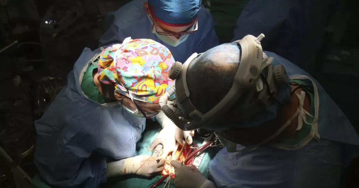 Médicos hacen un llamamiento: “Necesitamos más donantes de órganos vivos”.  /E