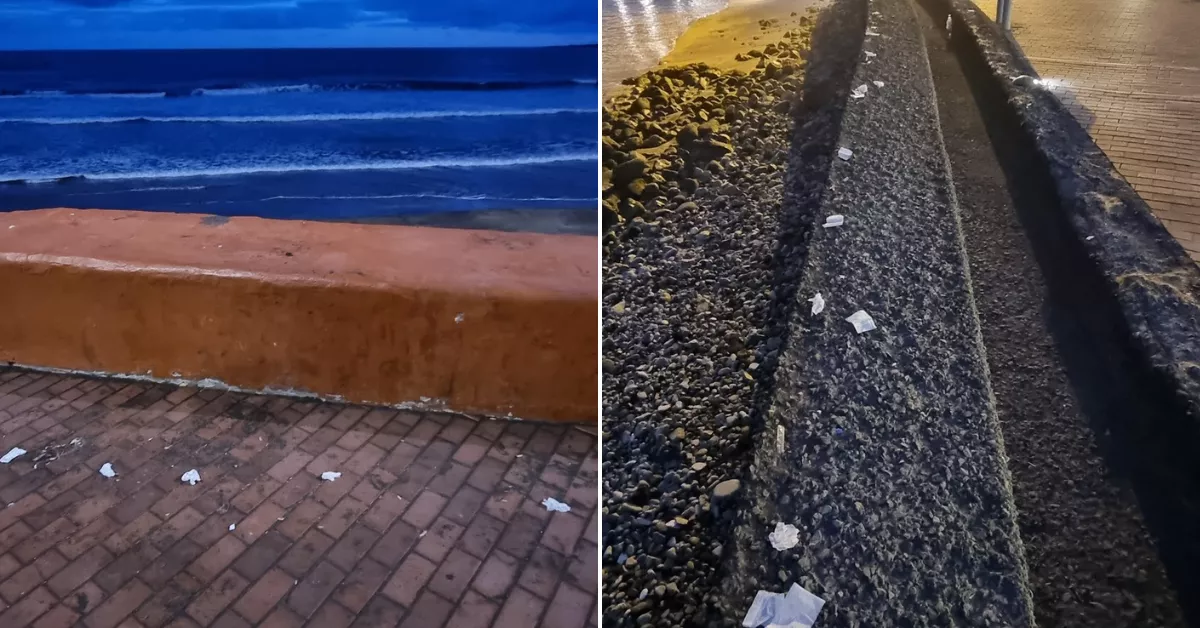 Servilletas tiradas por el paseo de Las Canteras / MI PLAYA DE LAS CANTERAS