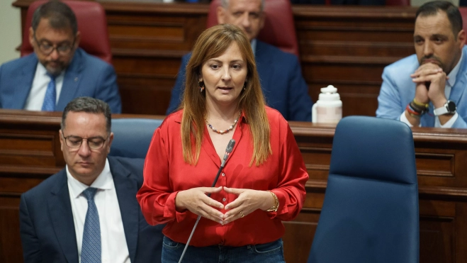 La consejera de de Presidencia, Administraciones Públicas, Justicia y Seguridad del Gobierno de Canarias, Nieves Lady Barreto, en el pleno del Parlamento de Canarias. / EFE