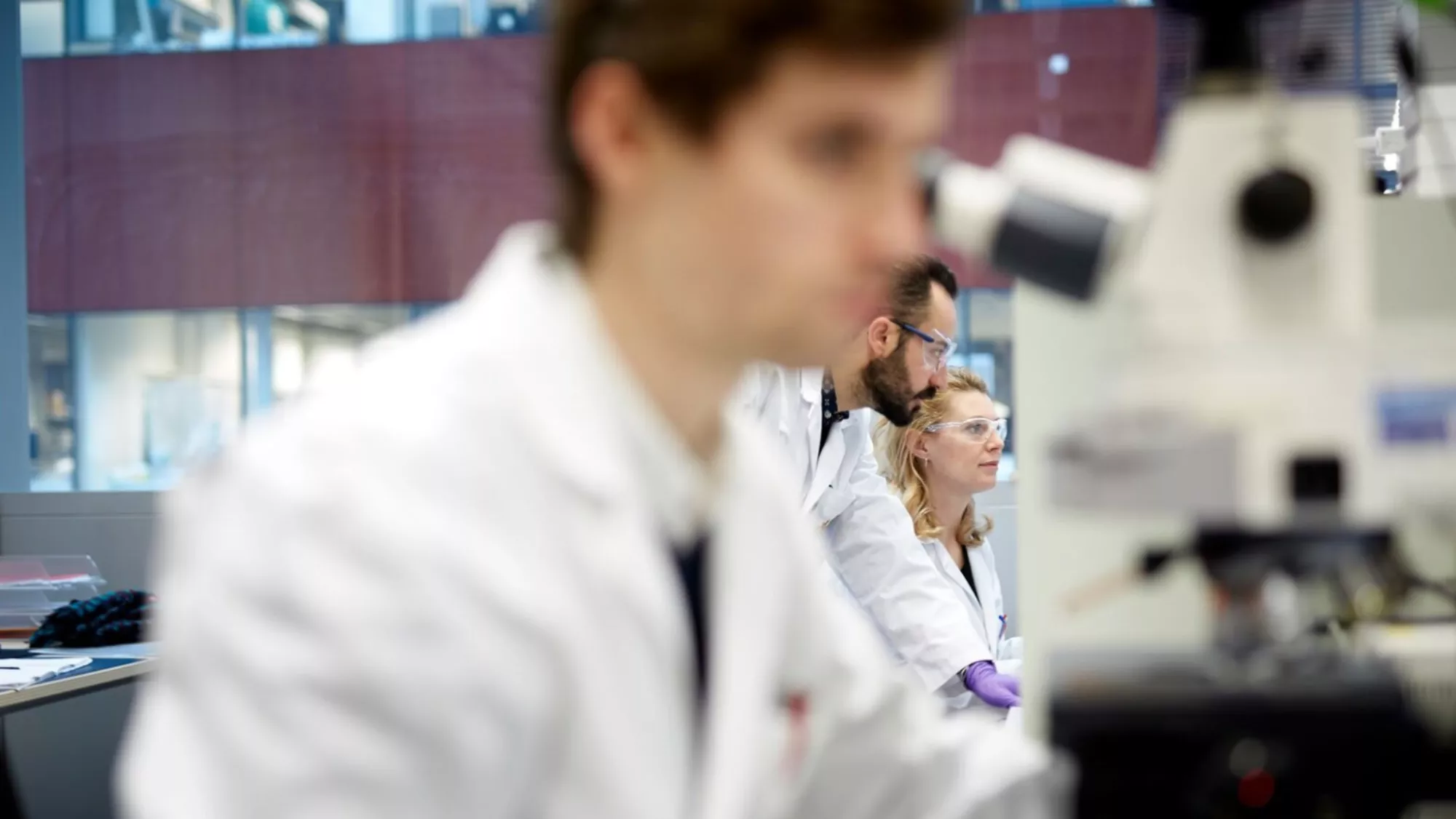 Personal investigador