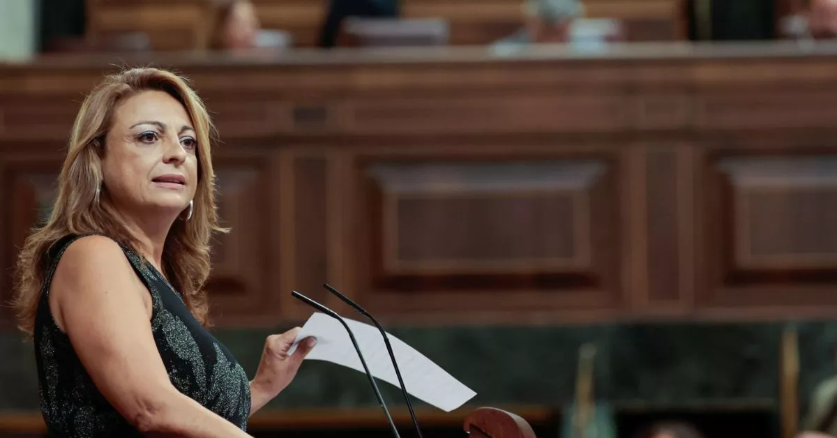 Cristina Valido, diputada por CC, interviene en el Congreso de los Diputados. / EFE - SERGIO PÉREZ