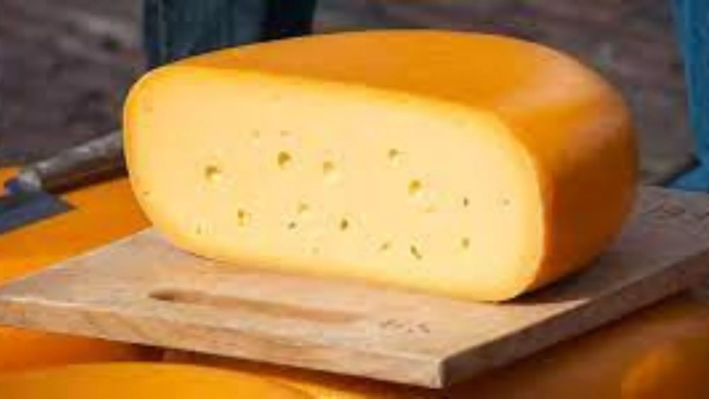 Queso gouda, llamado queso plato en Gran Canaria./ ARCHIVO