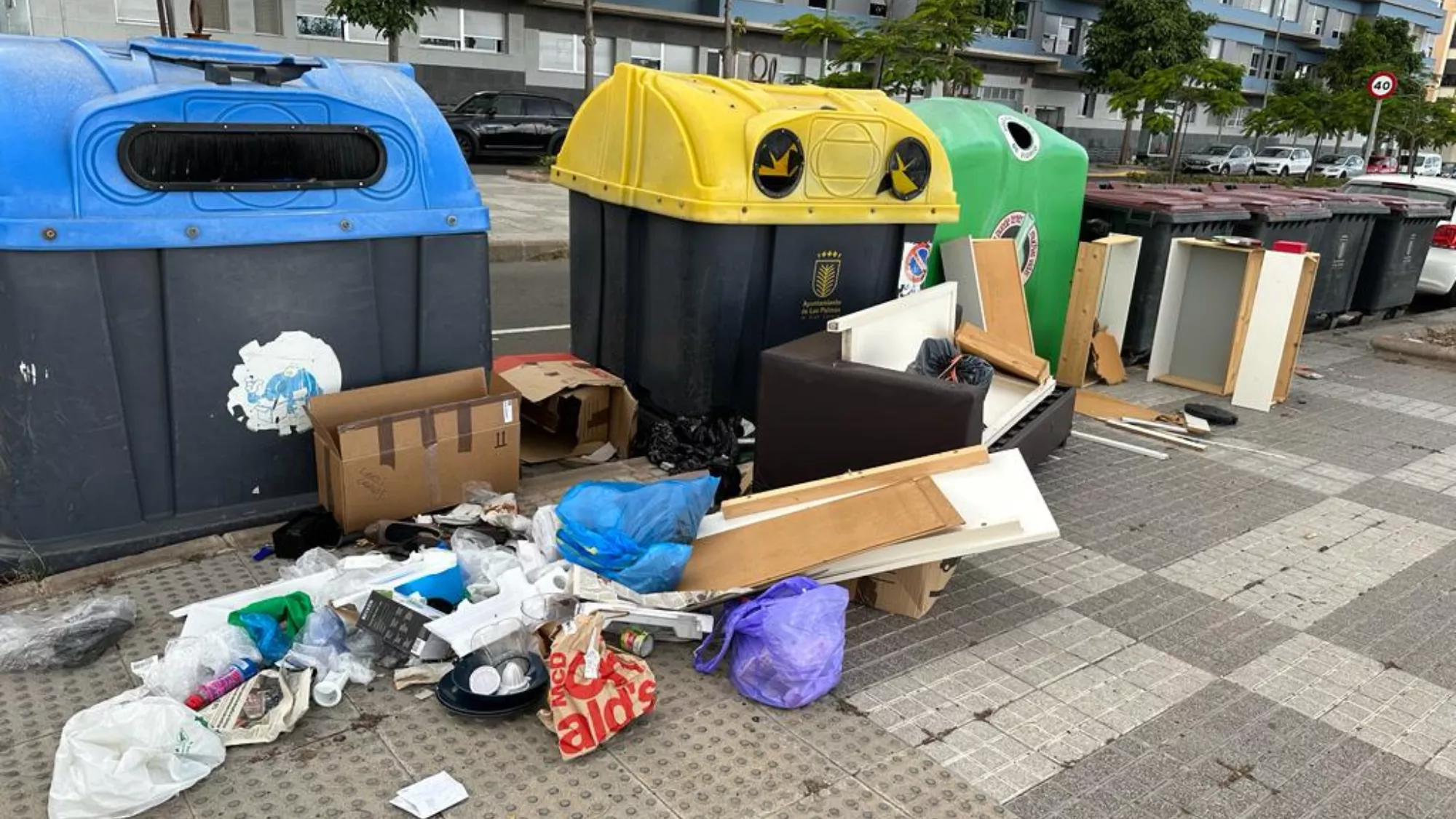 Contenedores rebosados en Almatriche Bajo / CEDIDA 
