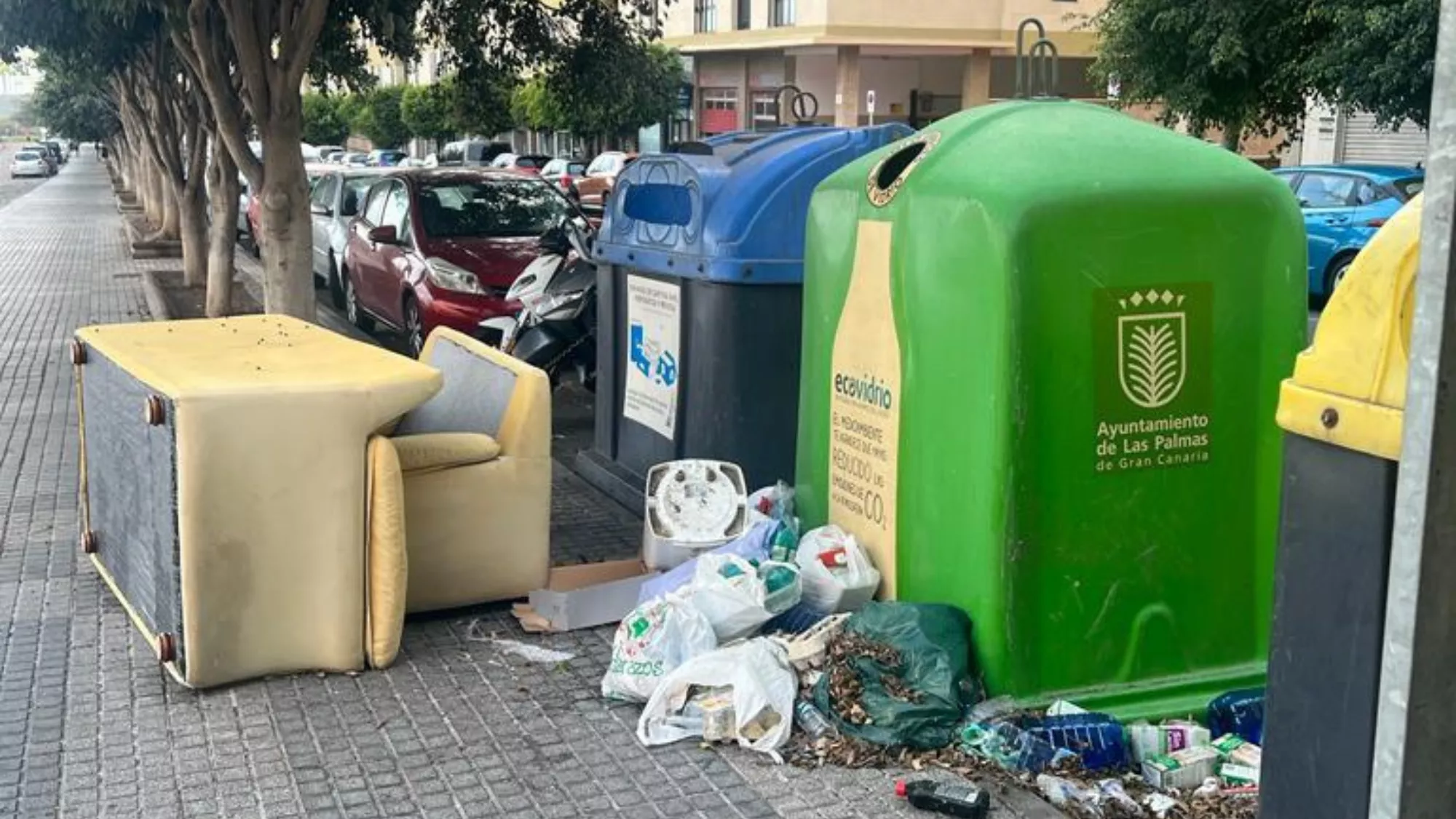 Basura en Siete Palmas / CEDIDA