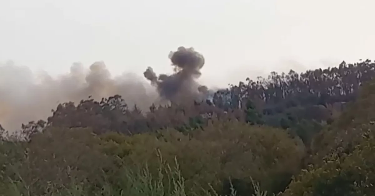 Reactivación en El Sauzal / CABILDO DE TENERIFE