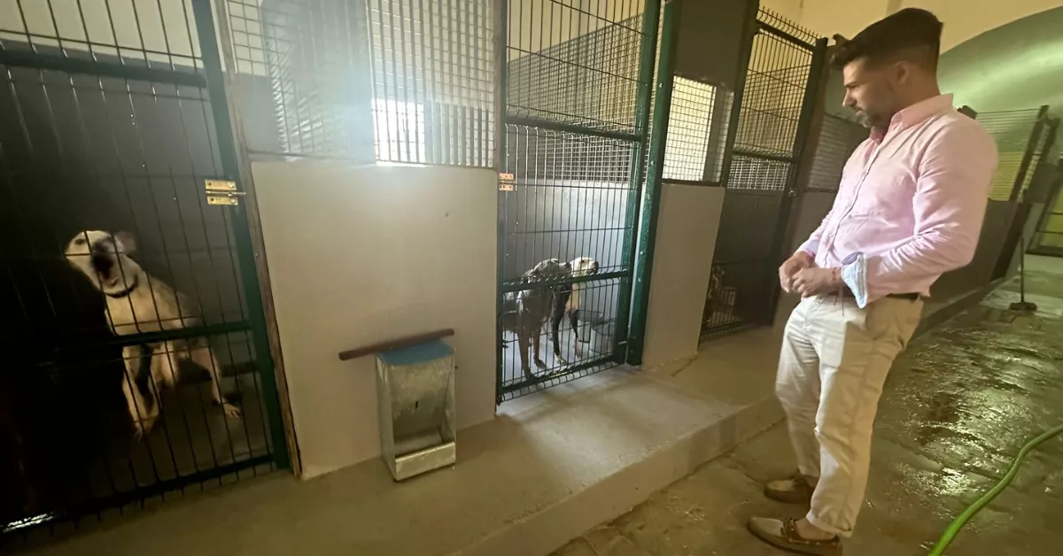 David Suárez en el refugio de animales de Las Palmas de Gran Canaria / COALICIÓN CANARIA