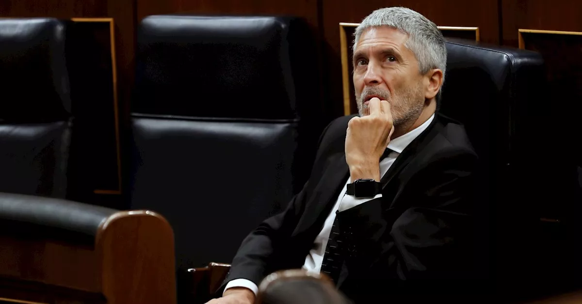 Fernando Grande-Marlaska, ministro del Interior./ EFE