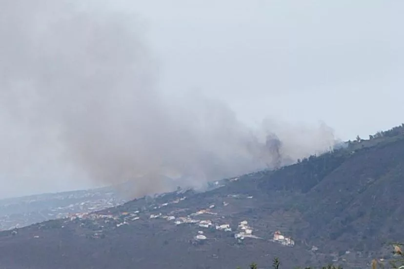 El incendio se ha reactivado durante la tarde de este 4 de octubre. / CEDIDA POR GREGORIO GONZÁLEZ