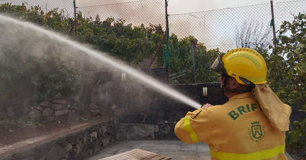 Un trabajador de la Brifor durante las reactivaciones / CABILDO DE TENERIFE