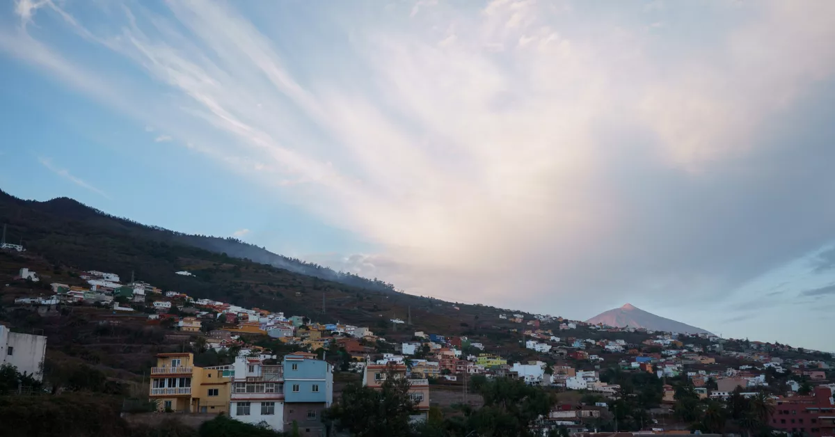 Zona de los altos del municipio de Santa Úrsula (Tenerife) donde se reactivó el incendio / EFE - RAMÓN DE LA ROCHA