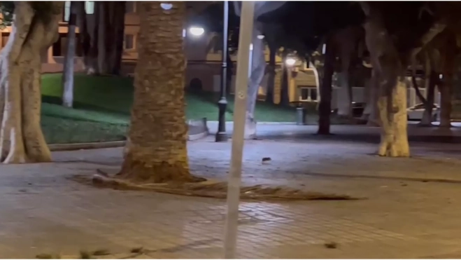 Una rata de gran tamaño se pasea por la Plaza de la Feria./ ATLÁNTICO HOY - LUNA MOYA