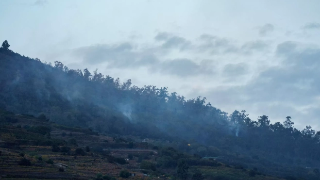 Zona de los altos del municipio de Santa Úrsula donde permanece activo el incendio declarado en la tarde de ayer. / EFE – RAMÓN DE LA ROCHA