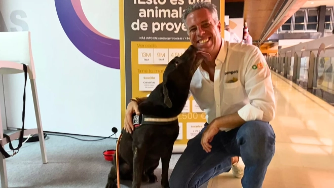 Max y Guillermo Alfaro, creadores de 'appmypets' / ATLÁNTICO HOY