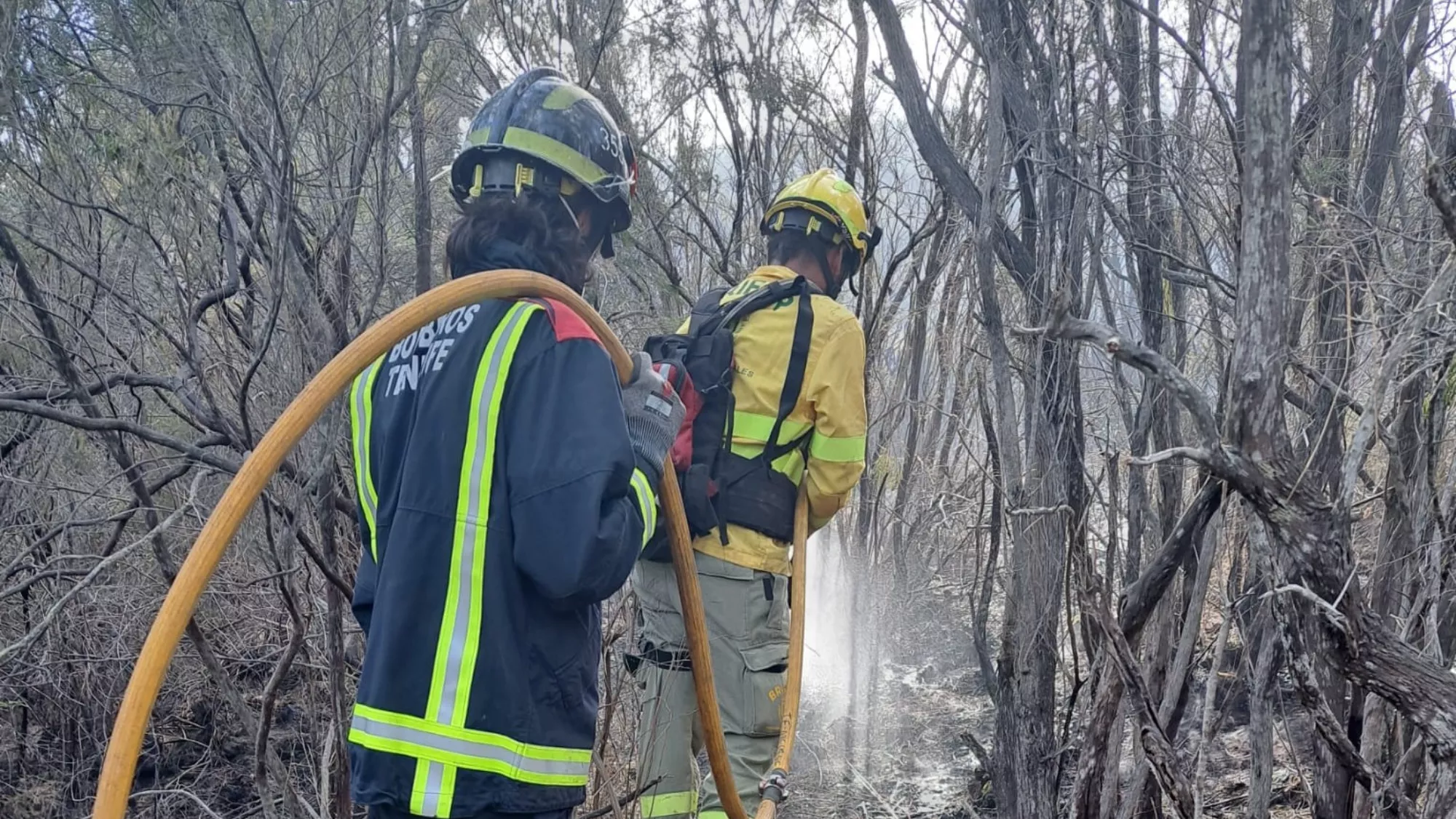 Los efectivos realizando las labores para apagar el fuego de Tenerife. / CABILDO DE TENERIFE